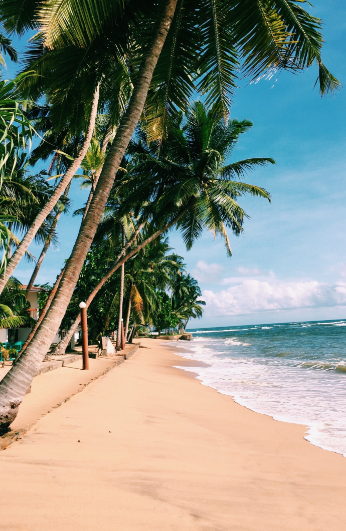 surfer beach